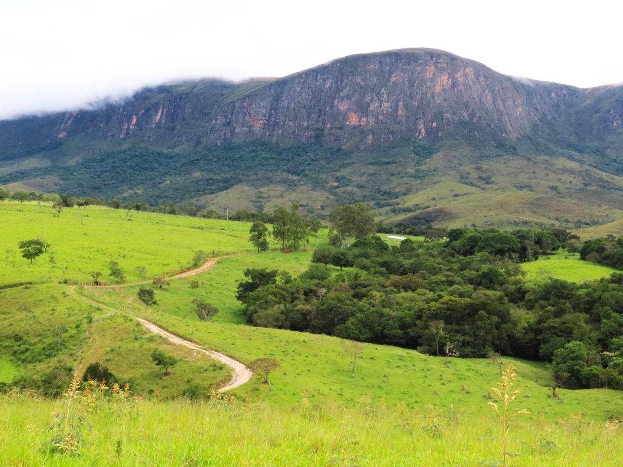 Estrada de terra sinuosa cortando um vale verde